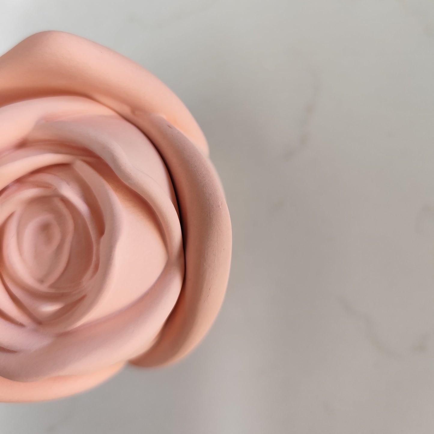 Candle Rose ~ Garden Blooms