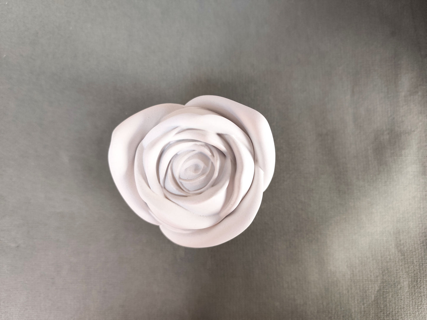 Candle Rose ~ Garden Blooms
