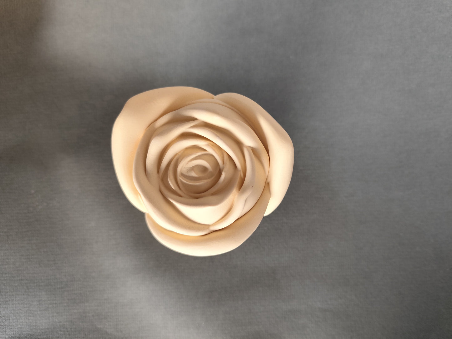 Candle Rose ~ Garden Blooms