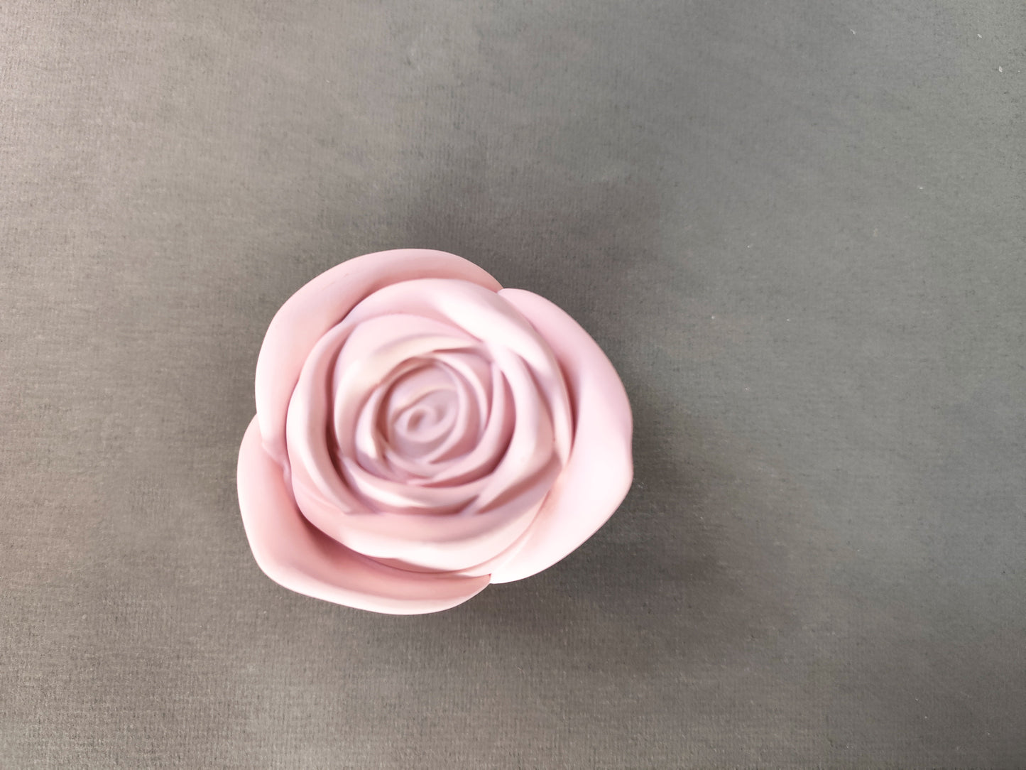 Candle Rose ~ Garden Blooms