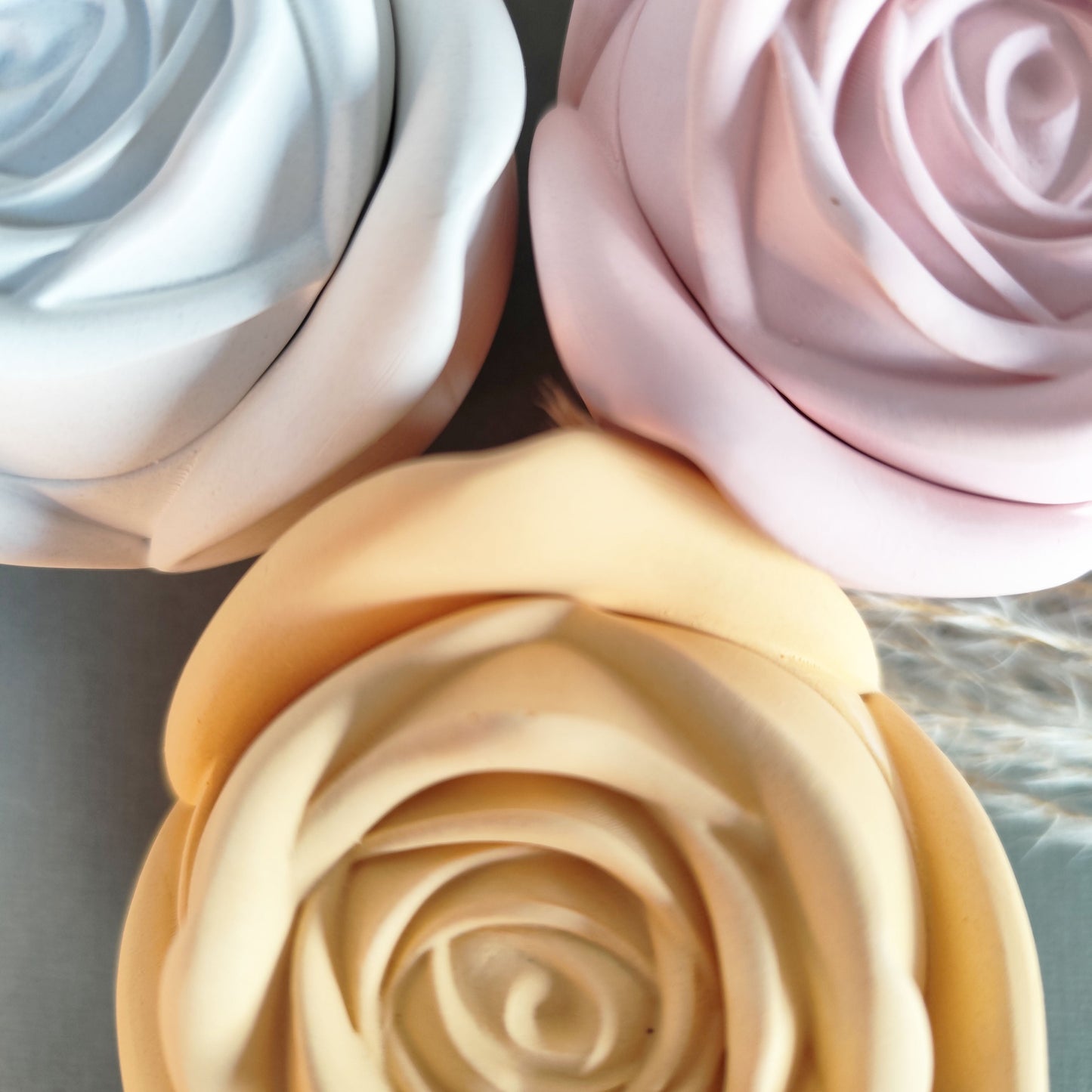 Candle Rose ~ Garden Blooms