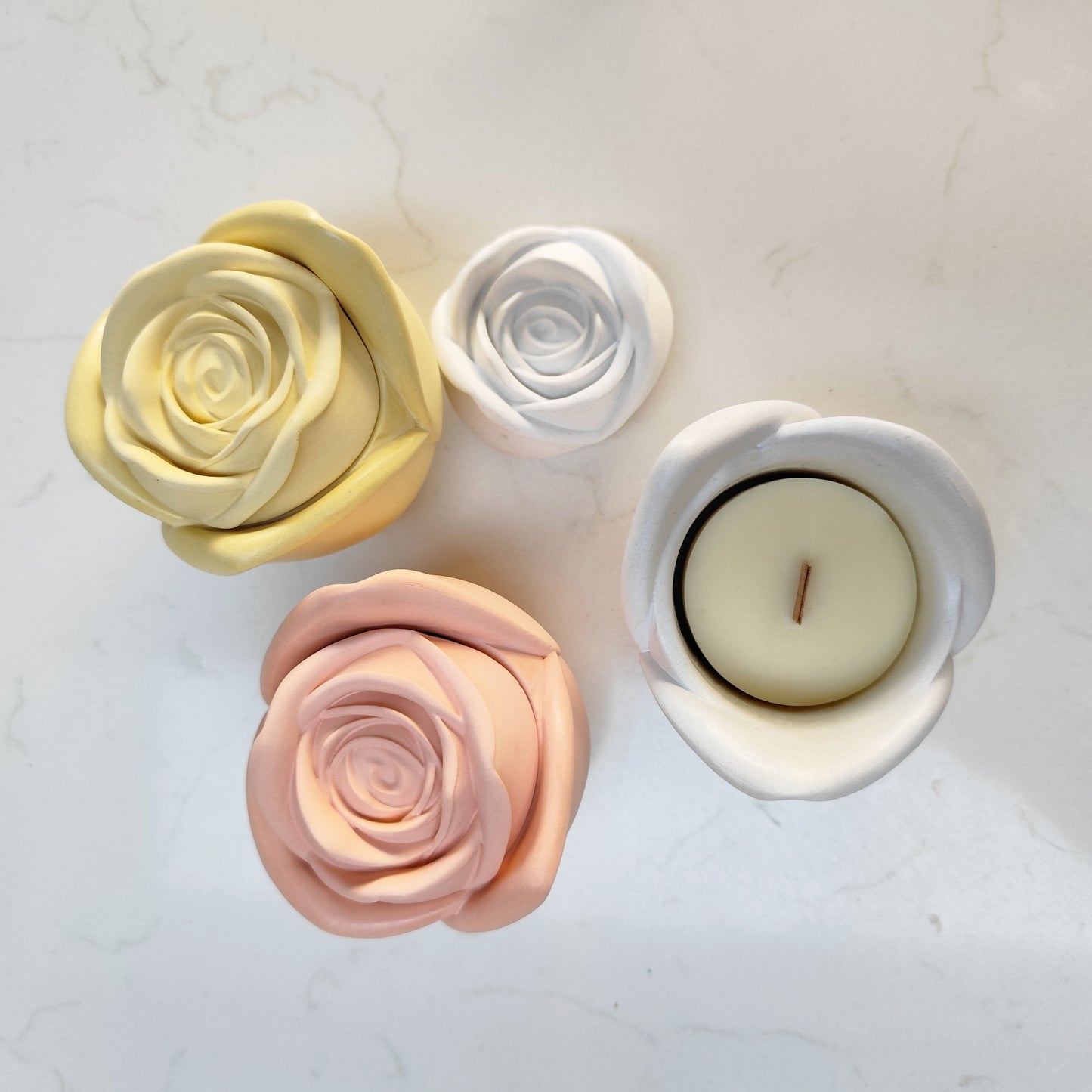 Candle Rose ~ Garden Blooms