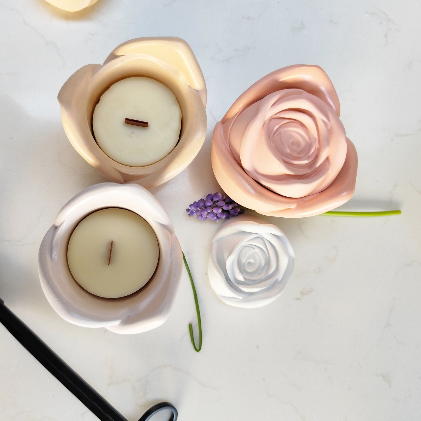 Candle Rose ~ Garden Blooms