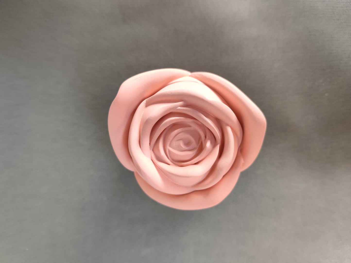 Candle Rose ~ Garden Blooms