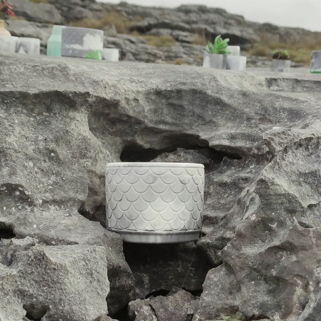 Bringing Nature indoors