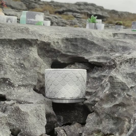 Bringing Nature indoors