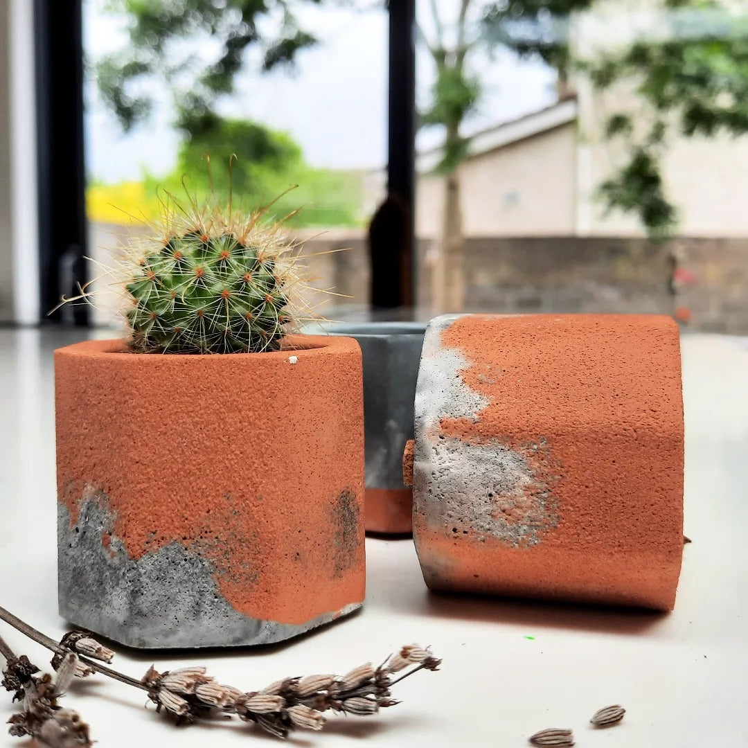 Mini Plant Pots
